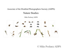 Mike Pockney ADPS