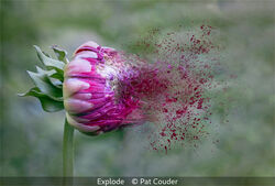 Explode