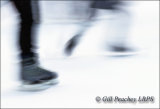 Skaters in Motion