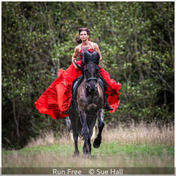Run Free