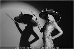 Shadow On The Wall - Mike Oldfield