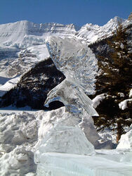 The Eagle Has Landed