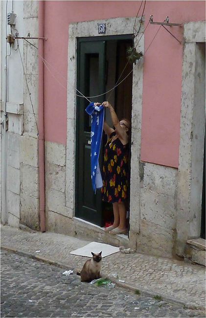 Washing and Cat