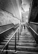 Long Way Up