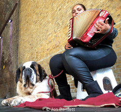 St Bernard And Busker