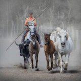 Camargue Horse Woman