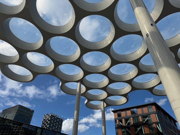 Canopy