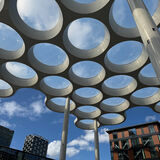Canopy