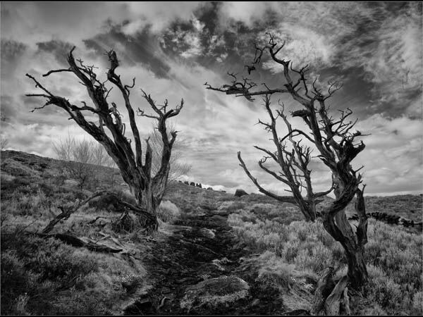Decaying