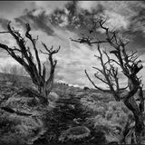 Decaying
