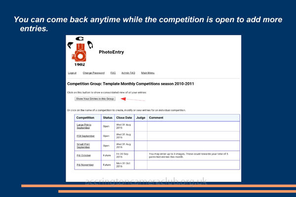 Viewing Submitted Entries