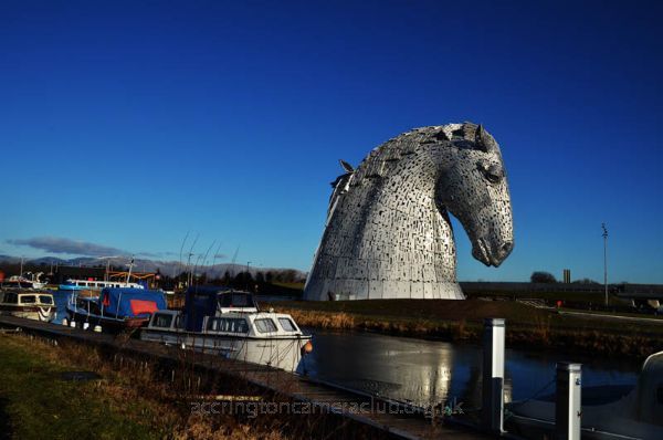 Kelpie