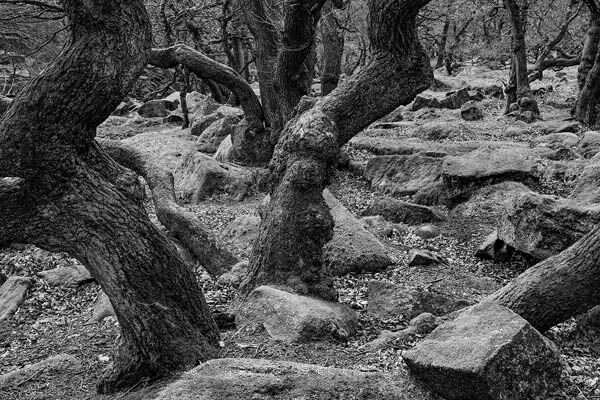 Padley Gorge