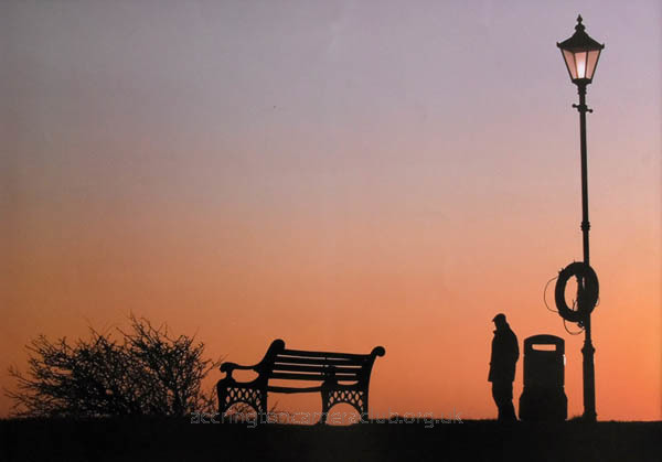 Silhouette of Suspicion