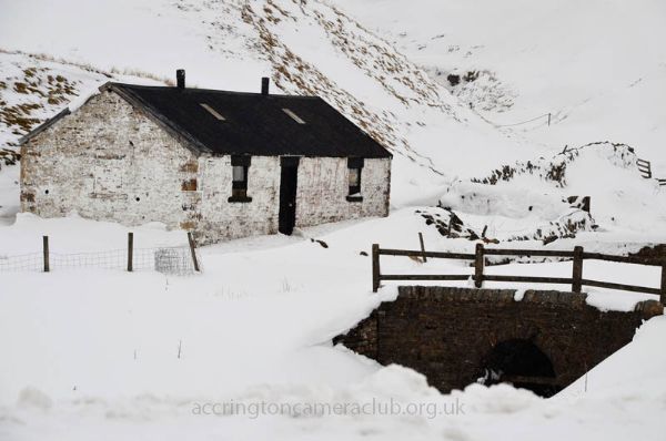 Snowed Inn