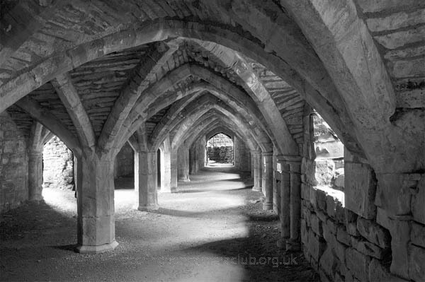 Vaulted Cellar Finchale Priory