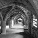 Vaulted Cellar Finchale Priory