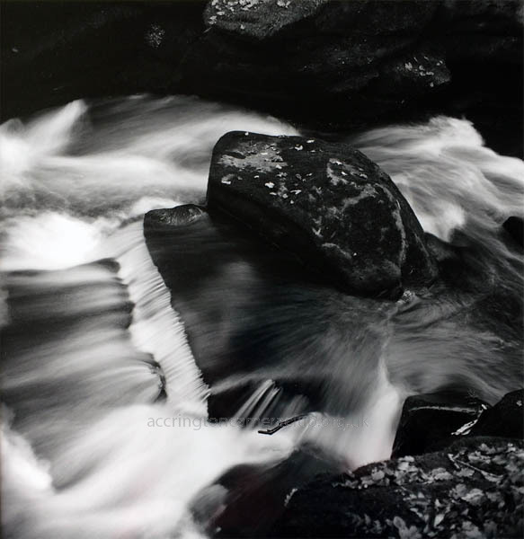 Water Study