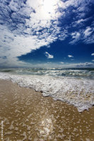 Sky, sea, sun, sand, scum - Cap Ferret - France