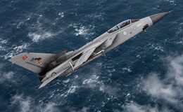 29(F) Squadron Tornado F3 banking.