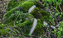 The Road over The Hills