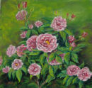 Pink Roses