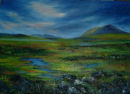 Evening at the Bog