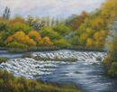 Autumn at Milford Weir, Carlow