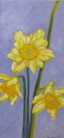 Daffodils
