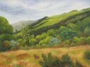 Midsummer in the Glen