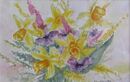 Spring Daffodils