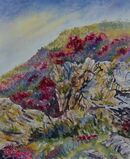 Wild Heather on the Rocks