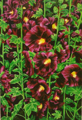 Stately Lady Hollyhocks