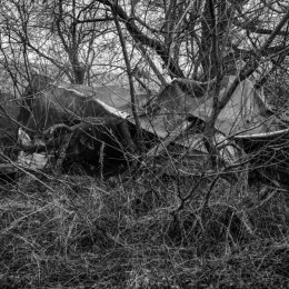 ©GavinMaxwell G1217005 L1002834