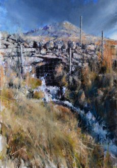 Arenig Fawr: Nant y Pysgod