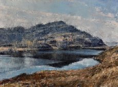 Rhinogydd: Gloywlyn.