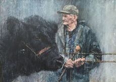 Holding a Welsh Black