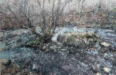 Stream, Tree, Boulder