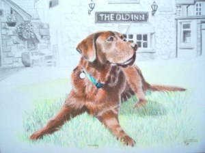 Chocolate Labrador pet portrait from photo