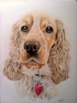 Golden cocker spaniel pet portrait from photo