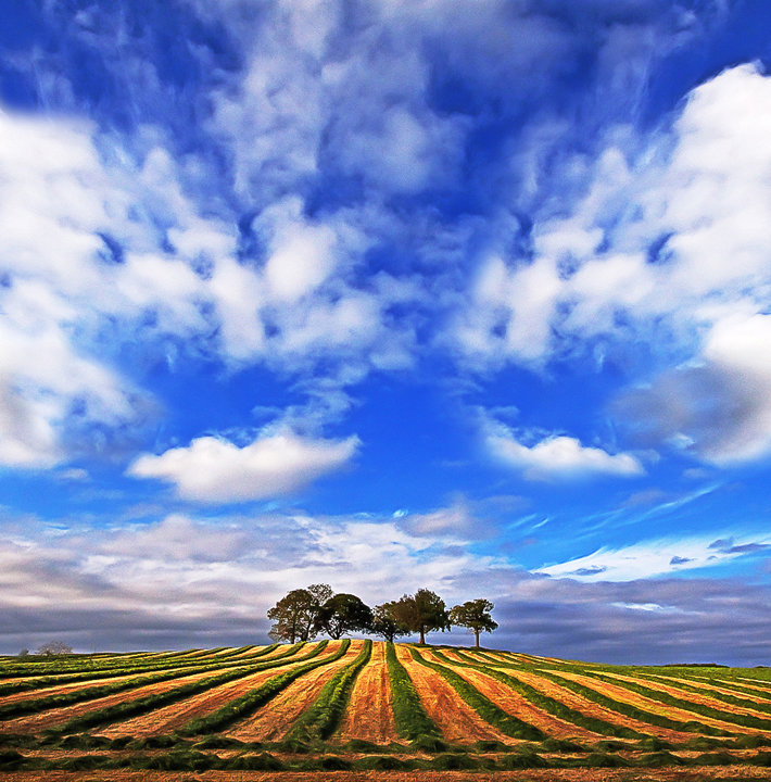 Converging Furrows