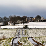 February - Cart Tracks