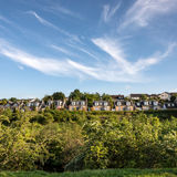May - Torr Road Villas