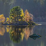 Silent Autumn