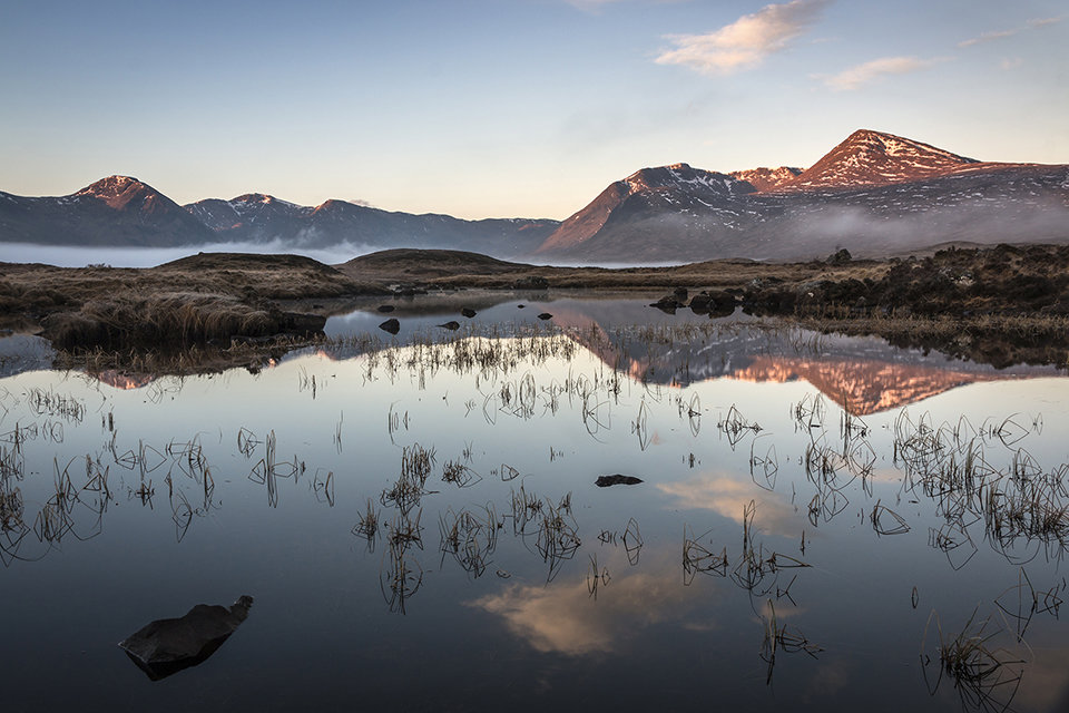First Light