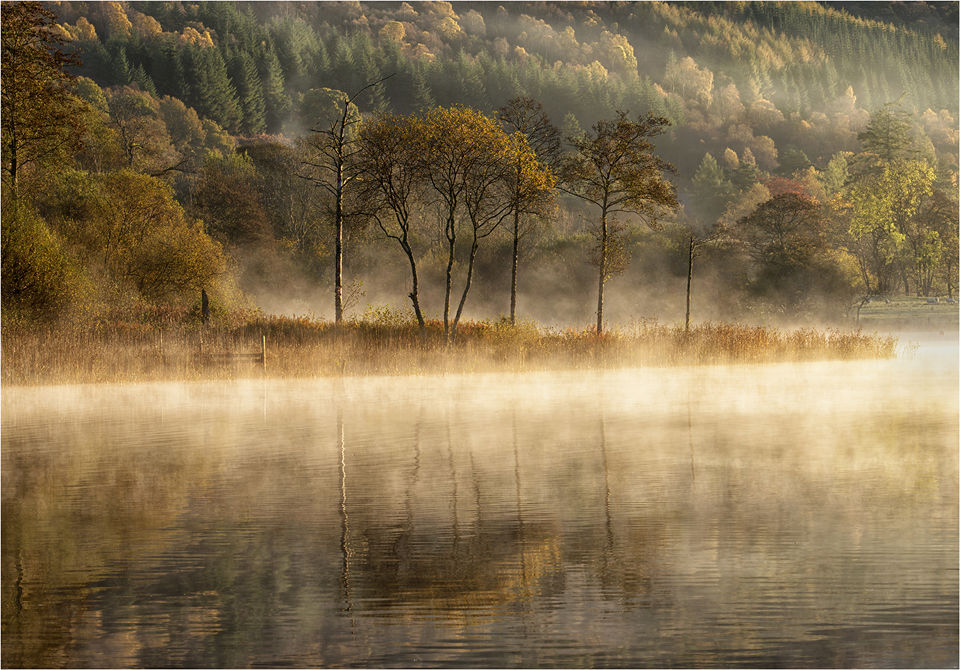 Autumn Reflections