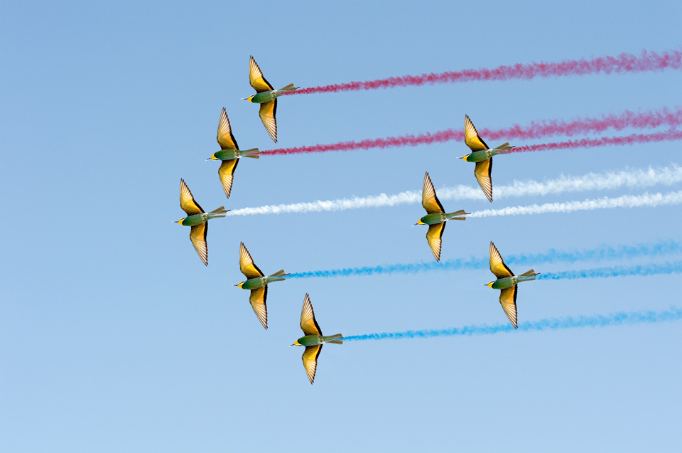 Formation Flying