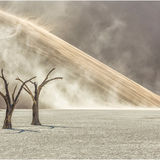 Developing sandstorm, Dead Vlei