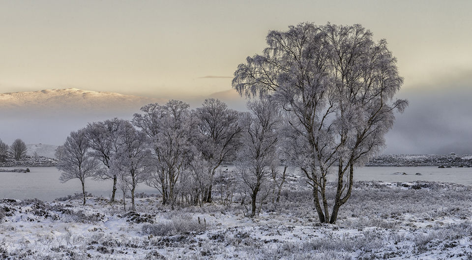 Morning Rannoch Moor