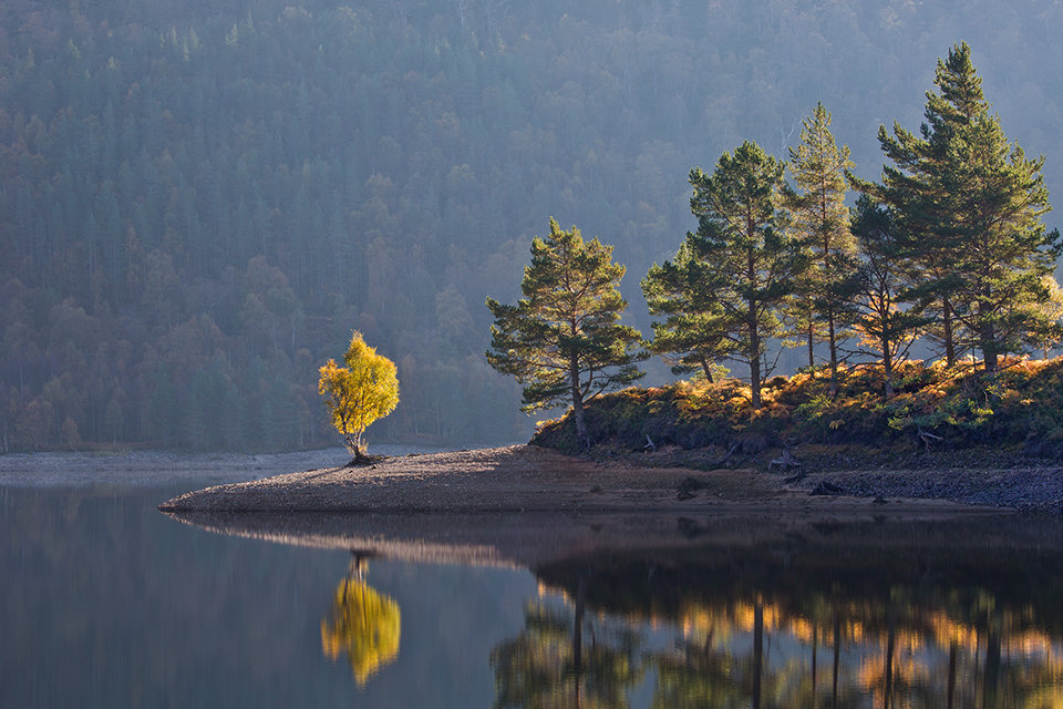 Autumn Light